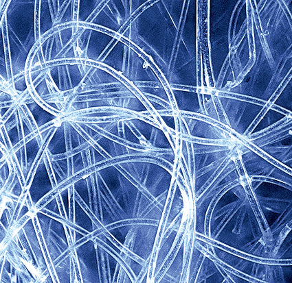 小久保工業所 ココフキ ピカ磨きクロス クエン酸+8枚入