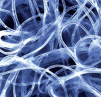 小久保工業所 ココフキ ピカ磨きクロス 酸化セリウム+8枚入